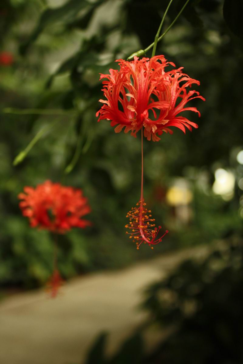 照片2013 173.jpg