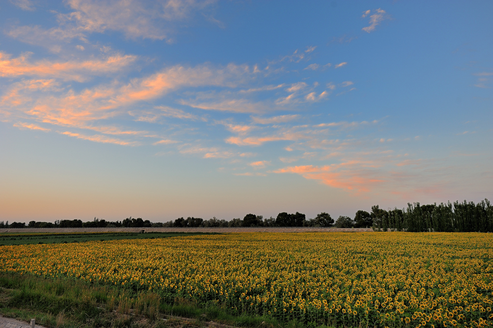 DSC_0281.jpg