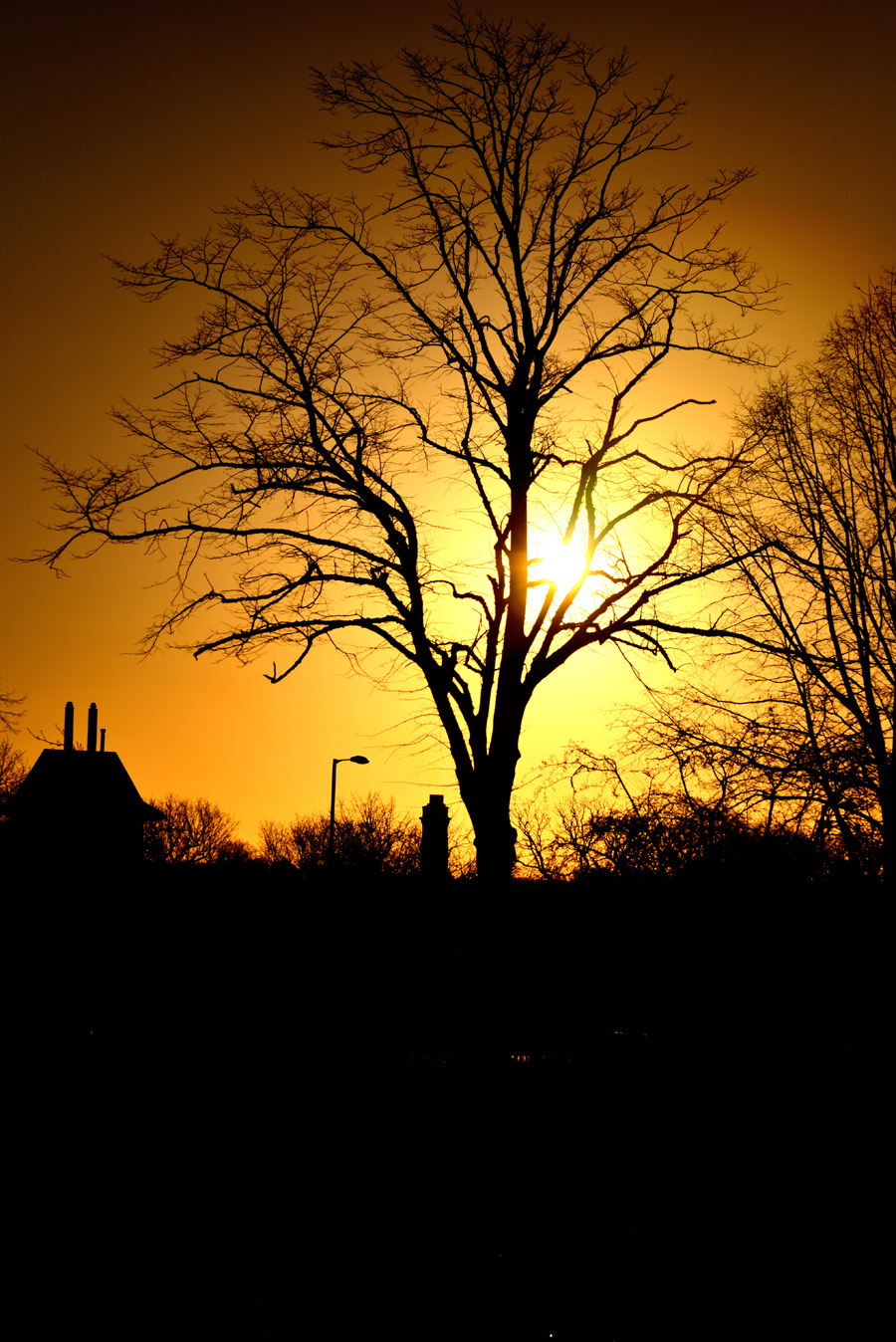 DSC_0395.jpg