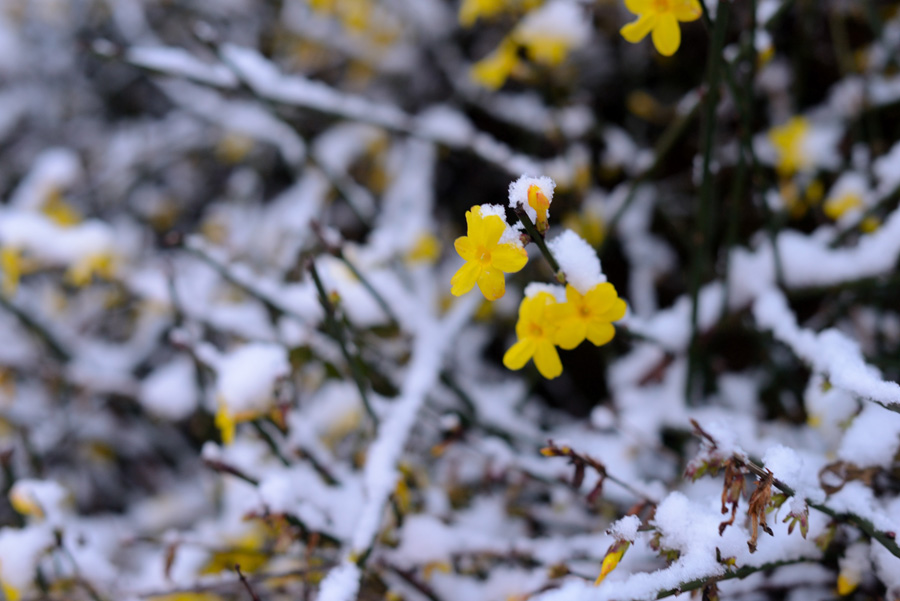DSC_0920.jpg