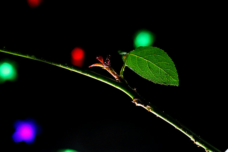 IMG_6419_副本.jpg
