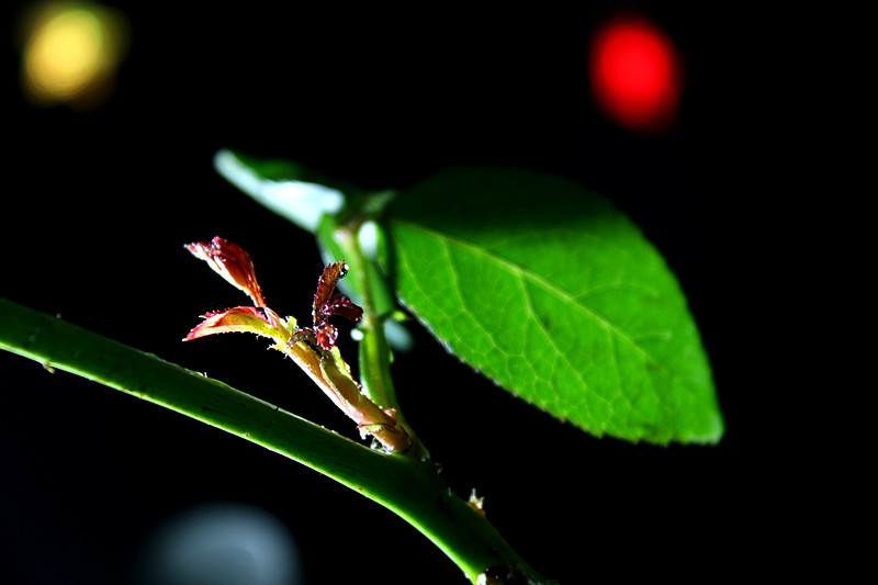 IMG_6423_副本.jpg