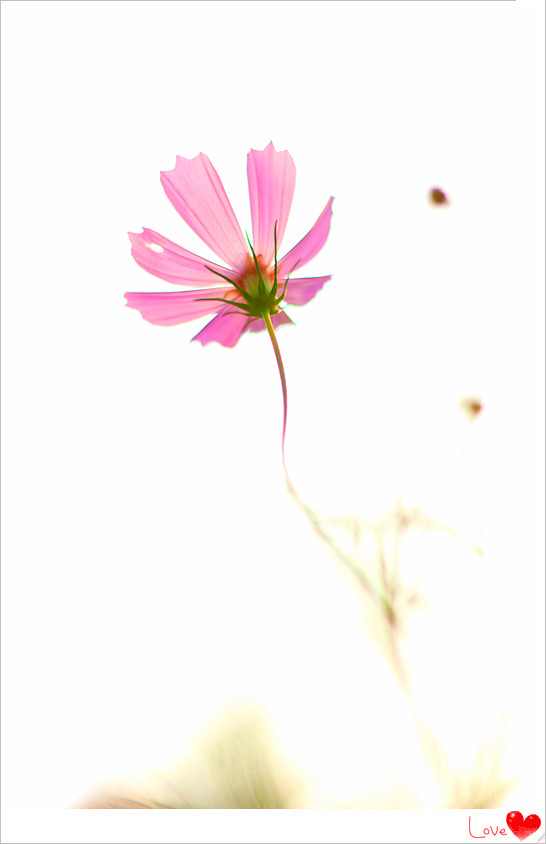 IMG_6511_副本.jpg