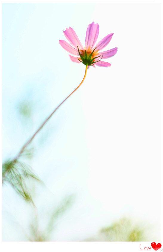 IMG_6512_副本.jpg