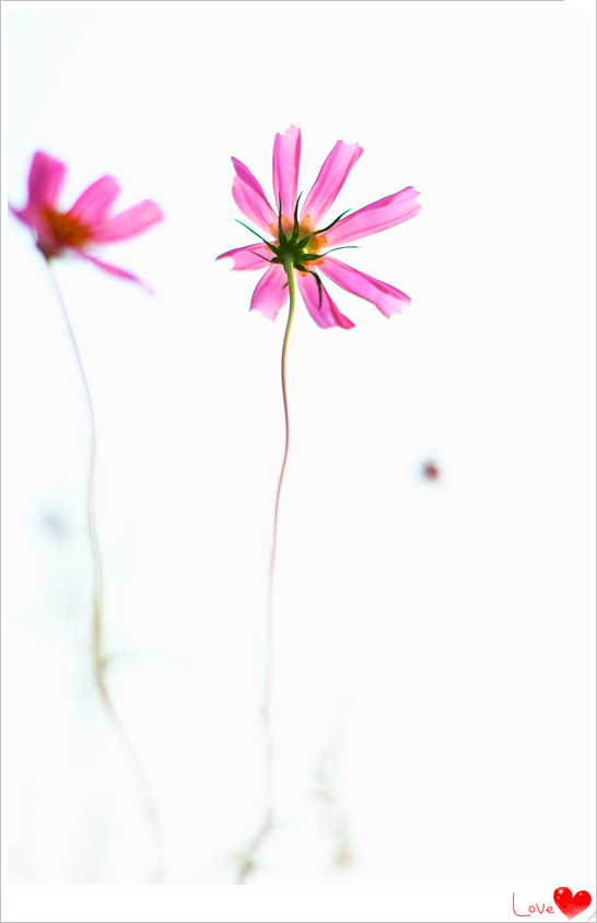 IMG_6516_副本.jpg