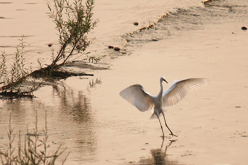 IMG_6601_副本.jpg