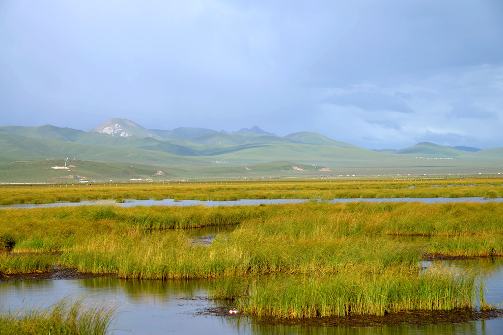 DSC_0197_副本.jpg