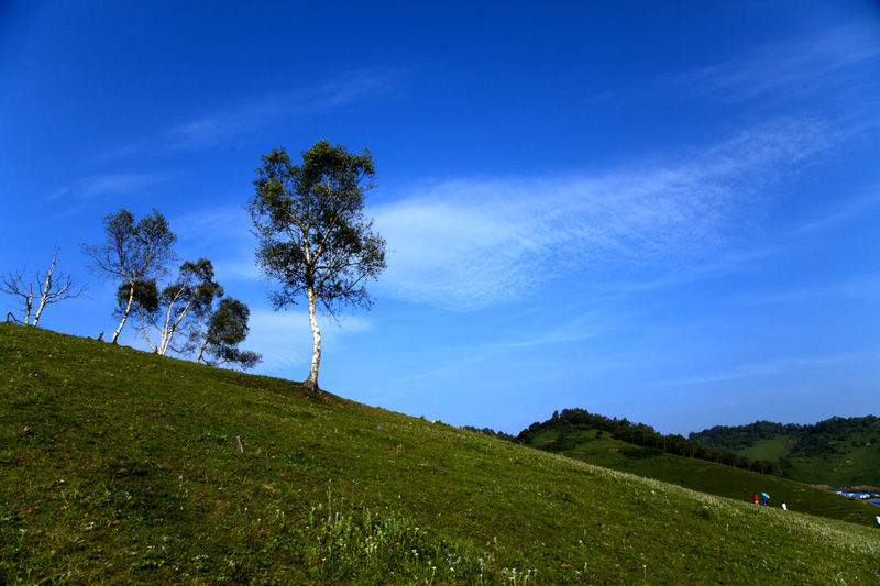 _MG_5545.jpg