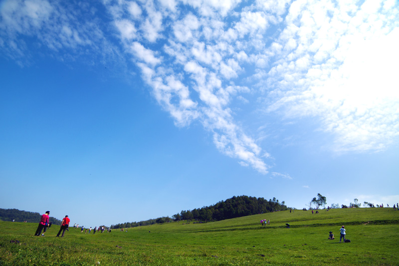 _MG_52761.jpg