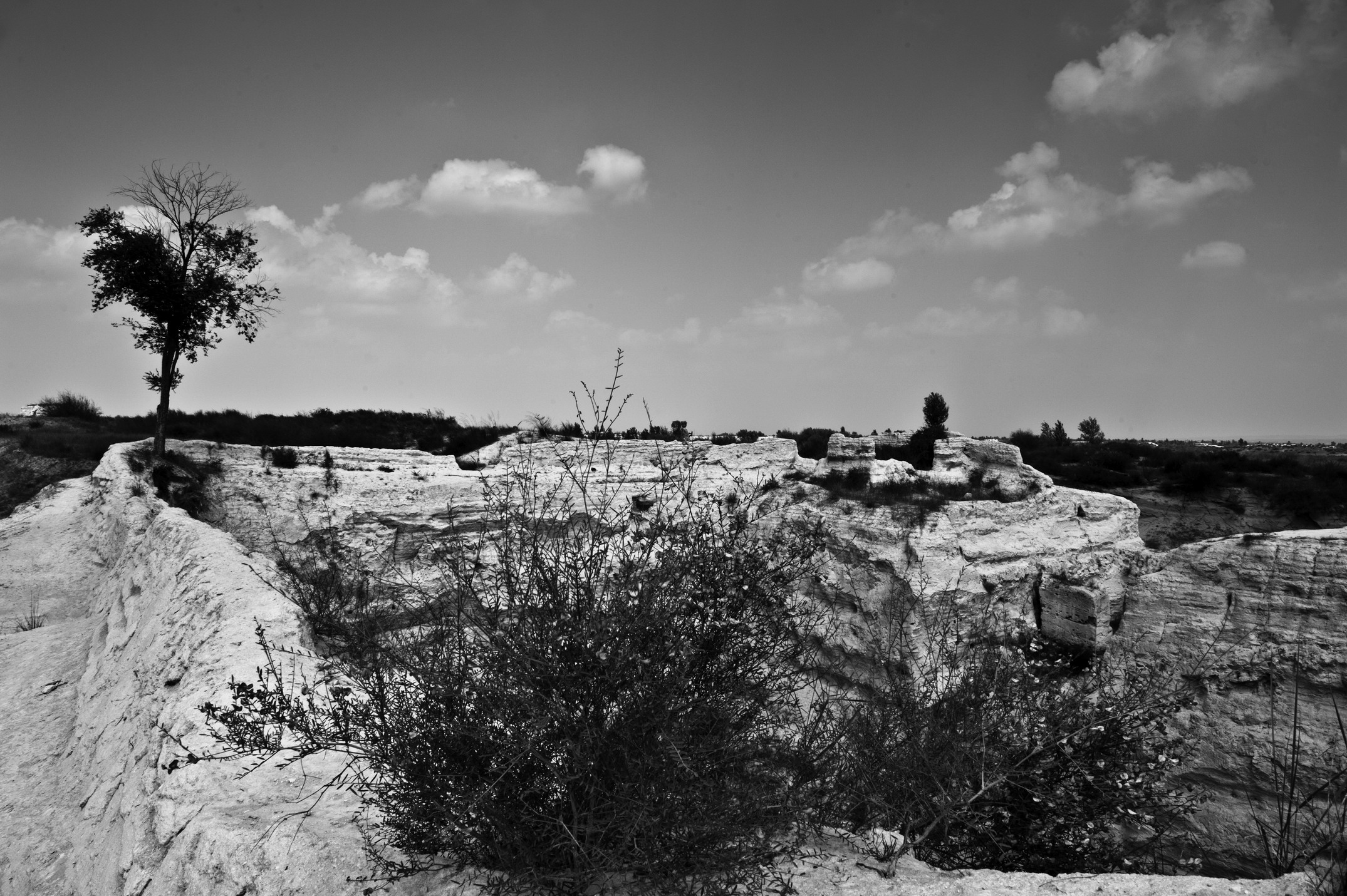 DSC_0831_1.jpg