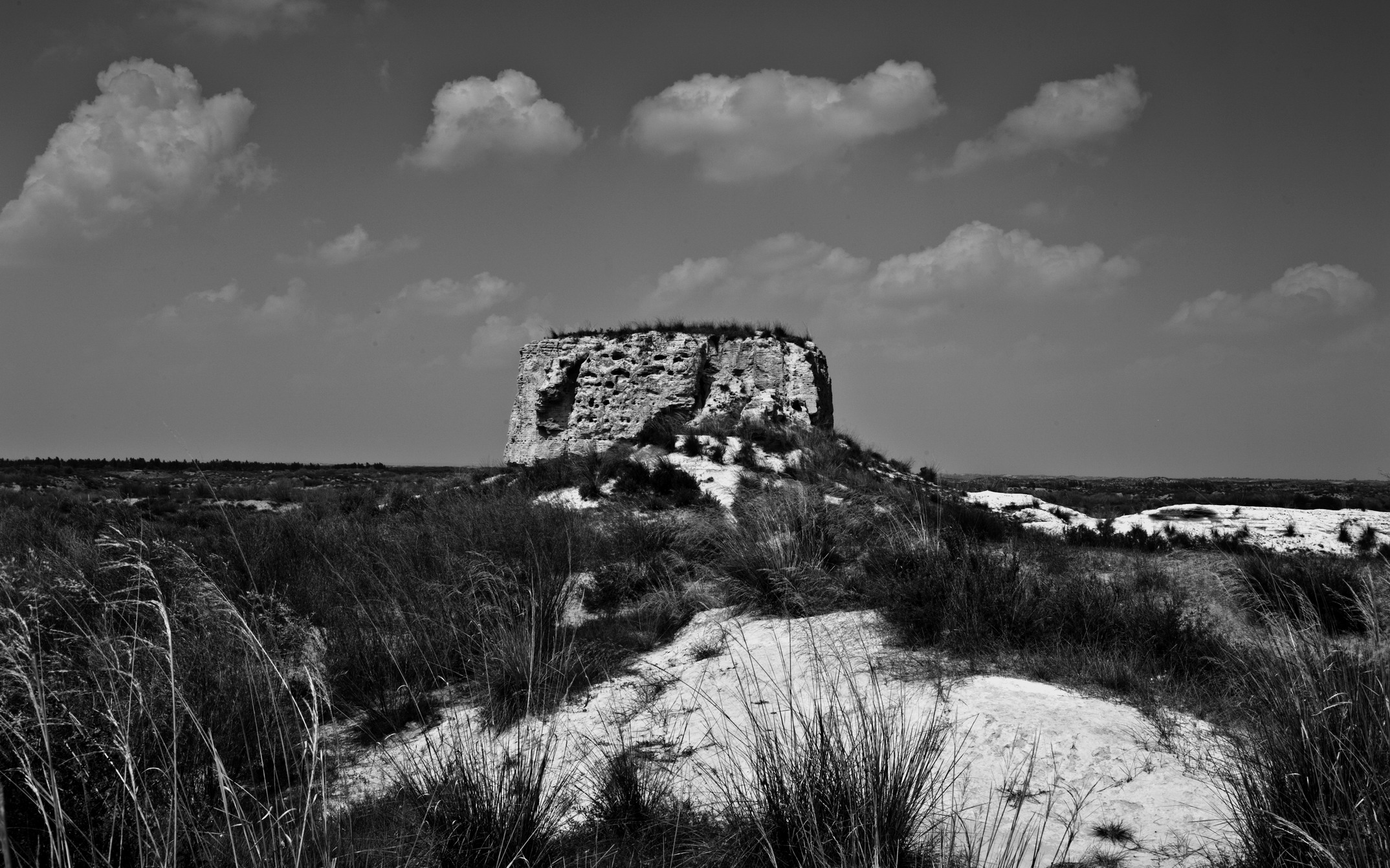 DSC_0833_1.jpg