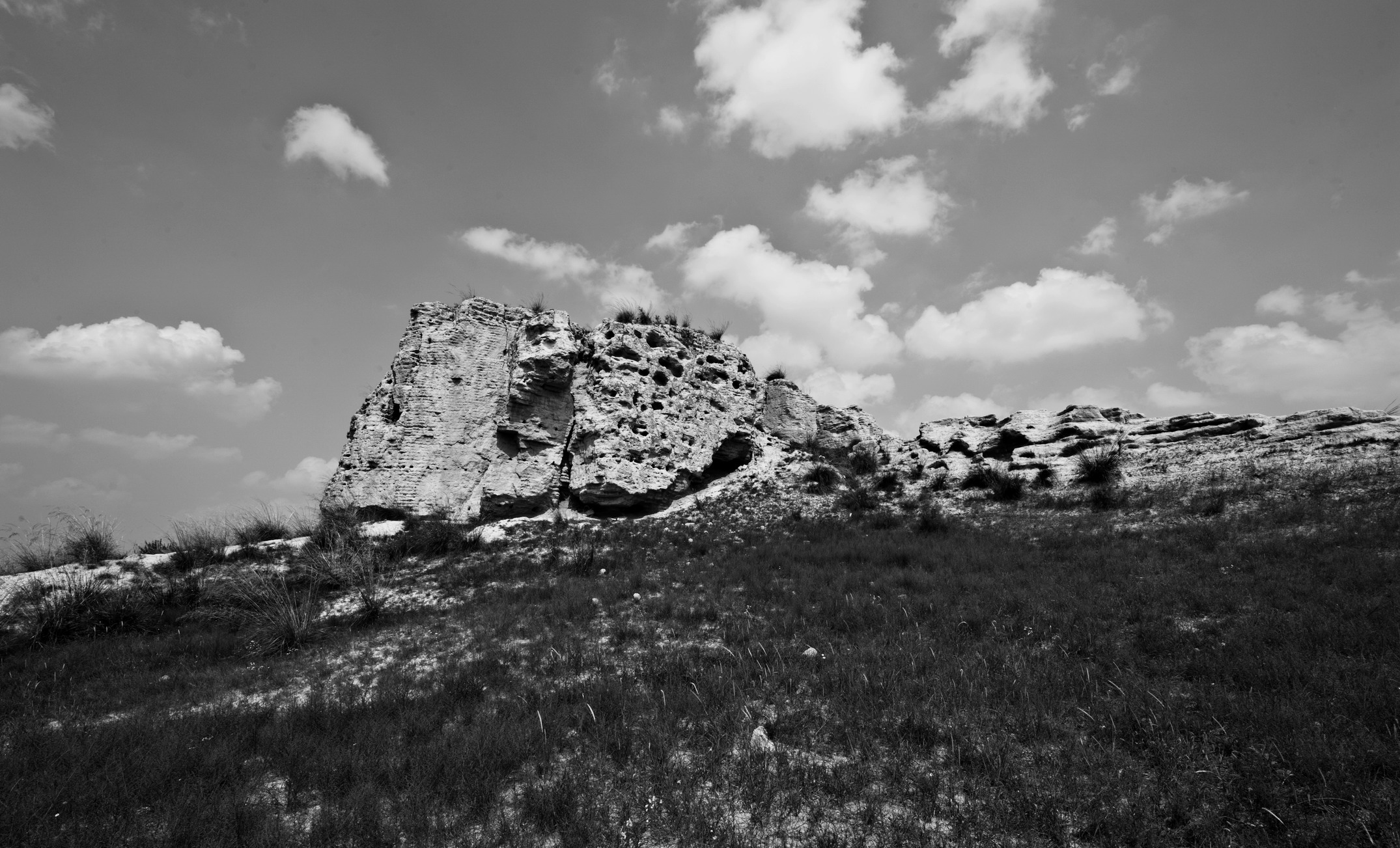 DSC_0839_1.jpg