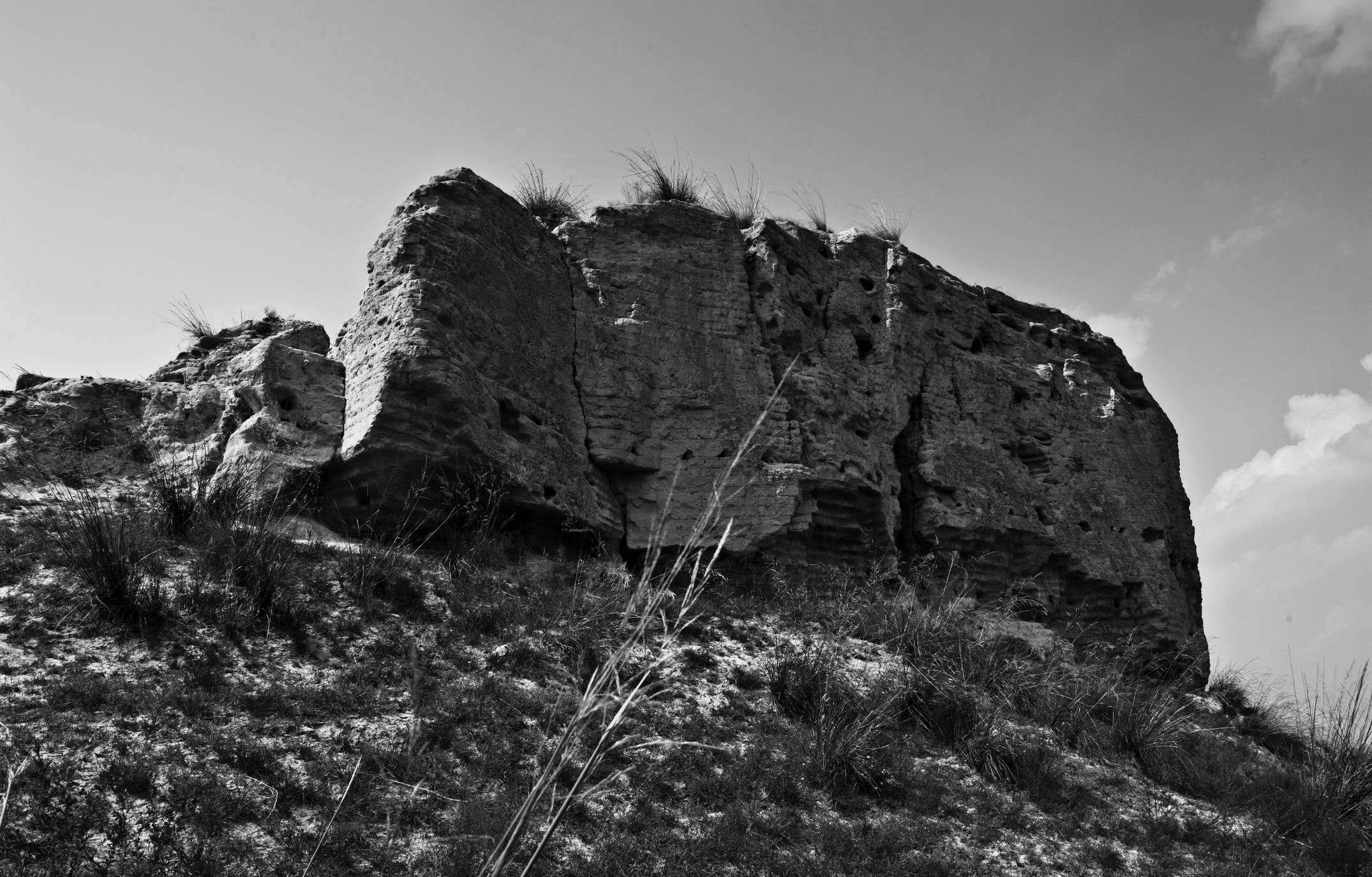 DSC_0845_1.jpg
