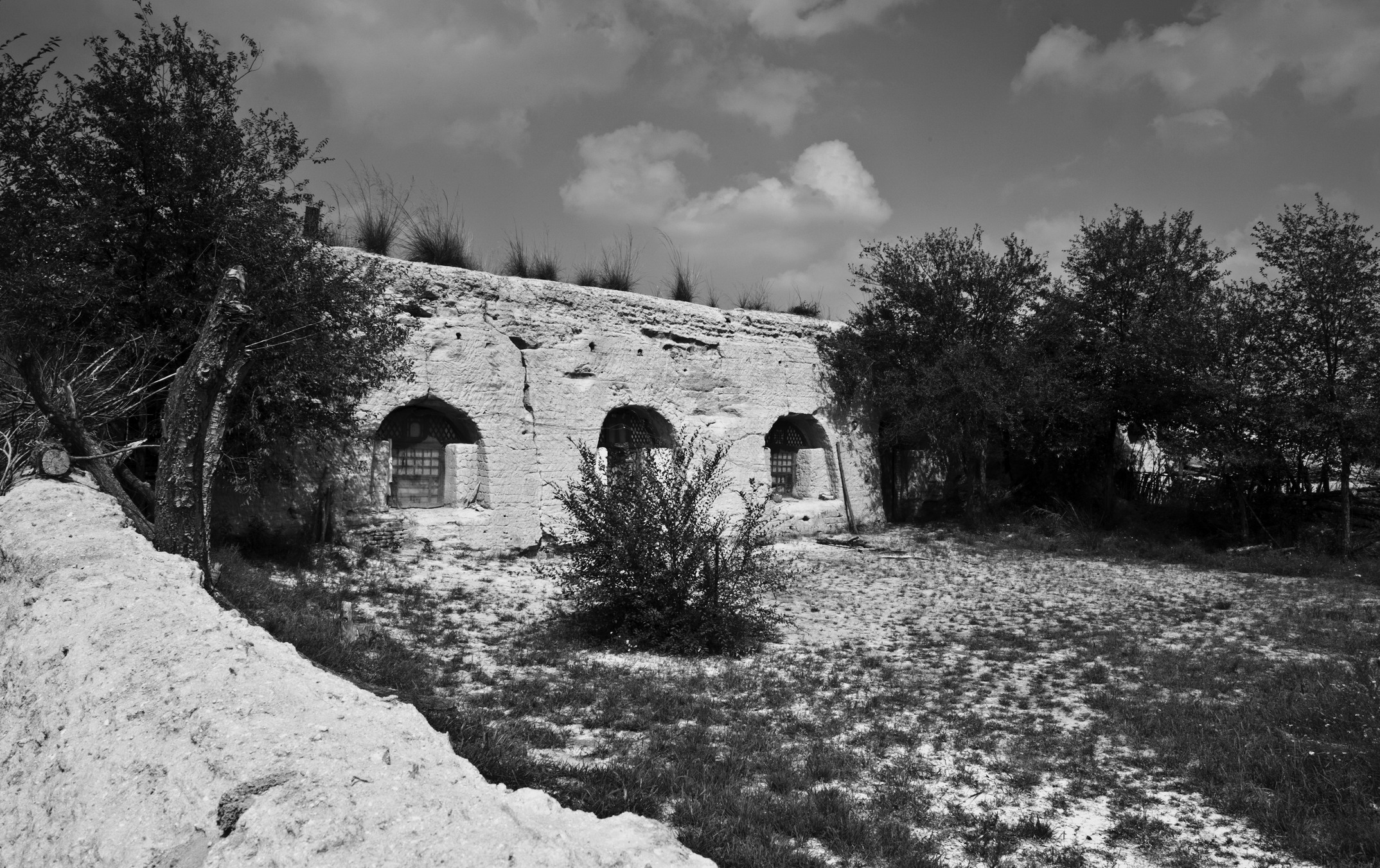 DSC_0854_1.jpg