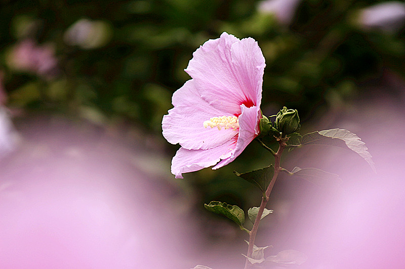 IMG_6794_副本.jpg