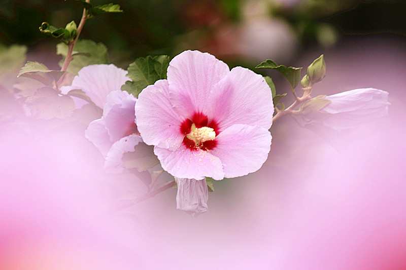 IMG_6793_副本.jpg