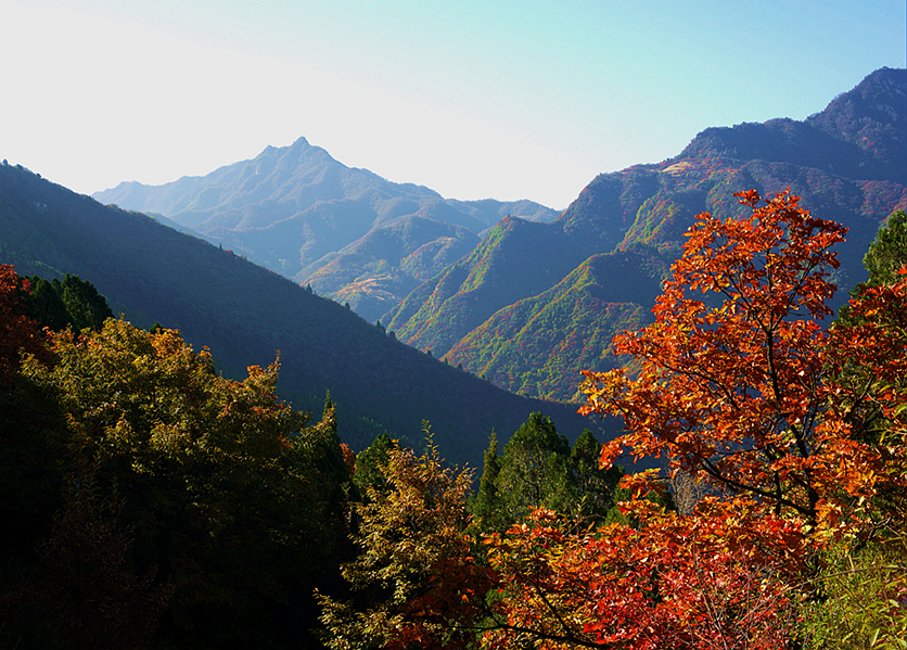 _DSC6072_副本.jpg