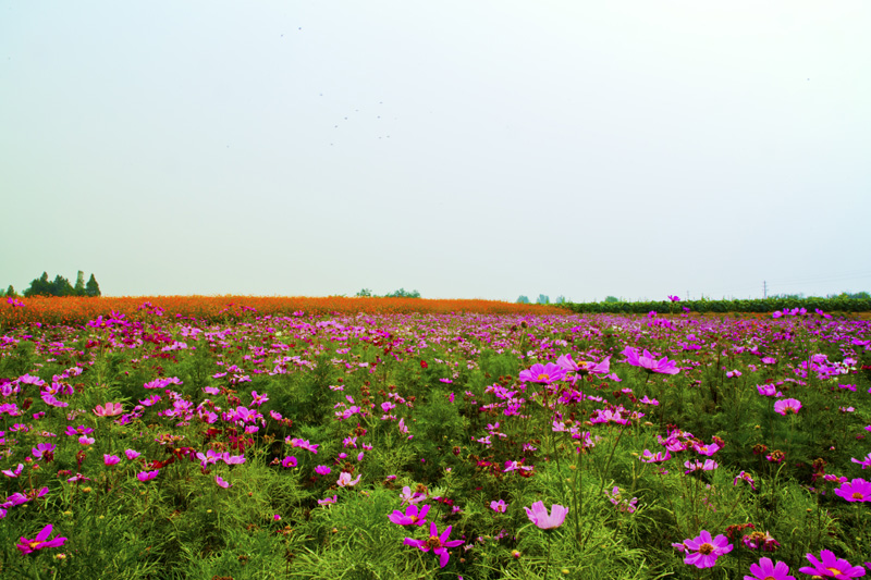 _MG_5709.jpg