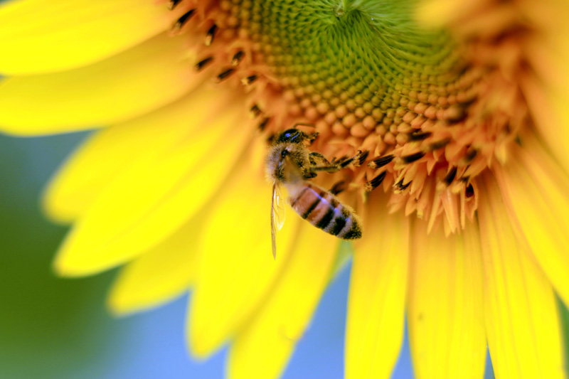 _MG_5849.jpg