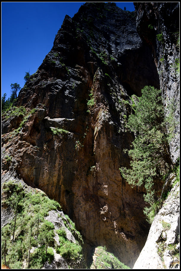 DSC_2306.jpg