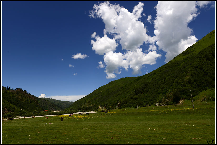 DSC_2351.jpg