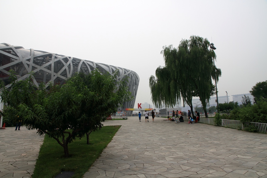 植物园225.jpg
