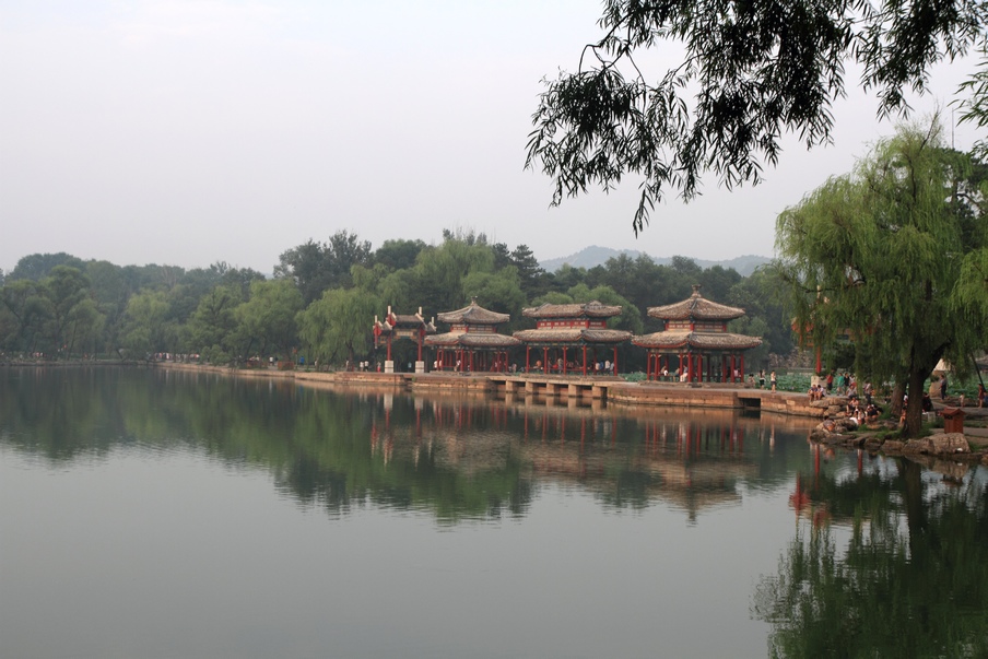 植物园257.jpg
