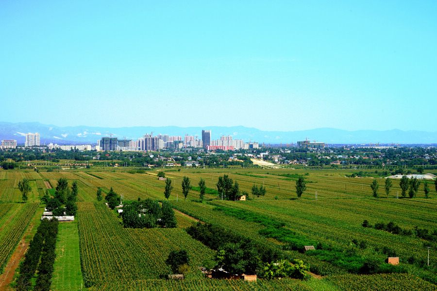 DSC03112.jpg