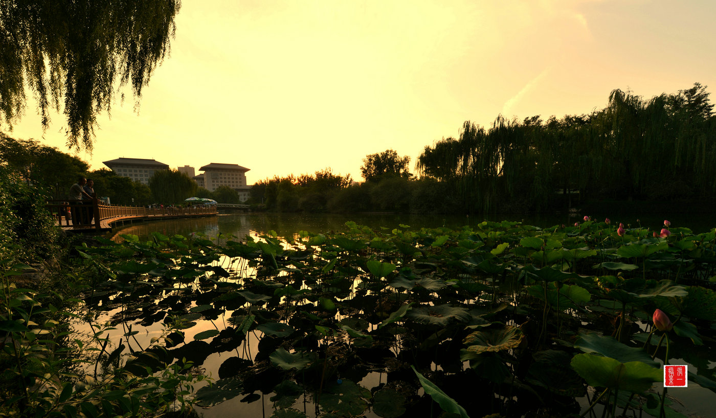 DSC_0915_副本.JPG