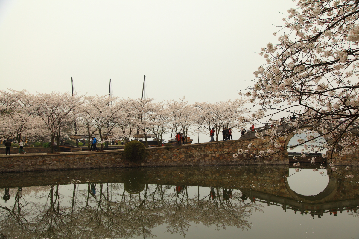 屏保53.JPG