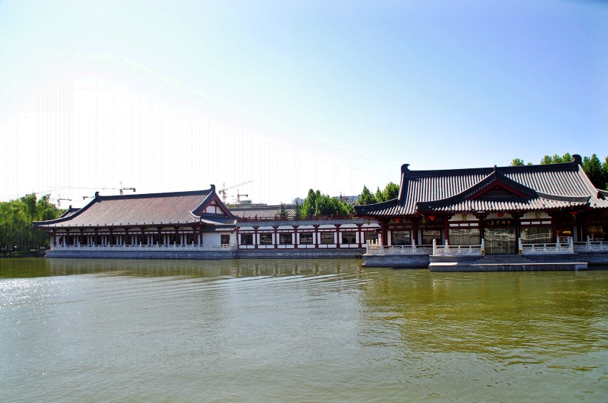 DSC_0874_conew1.jpg