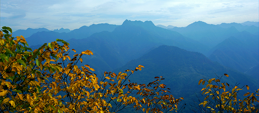 _DSC5079_副本.jpg