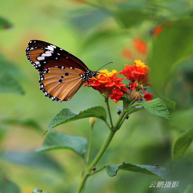 杨凌采风16_副本.jpg