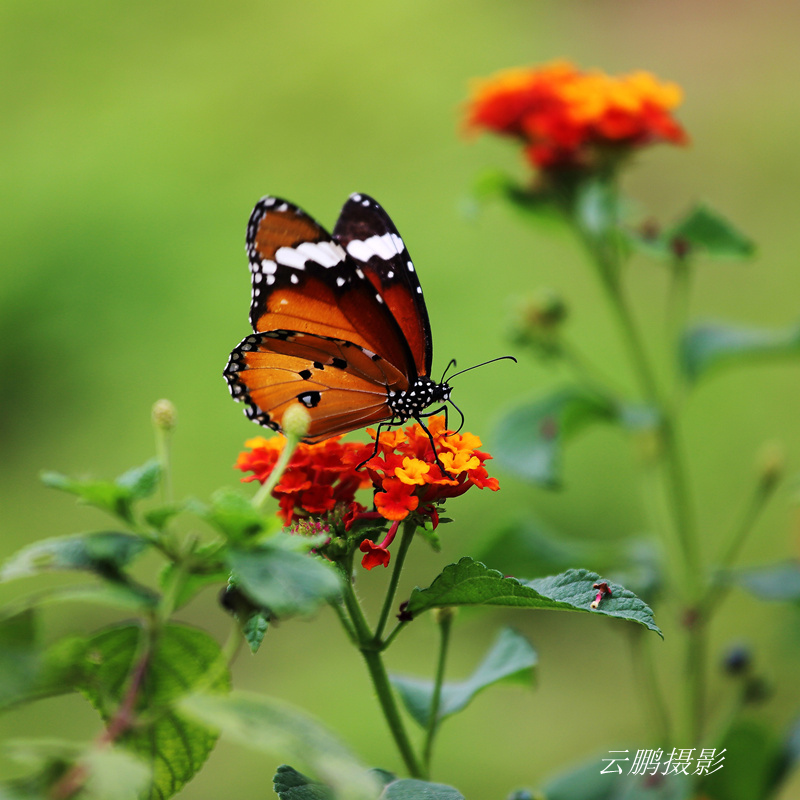 杨凌采风19_副本.jpg