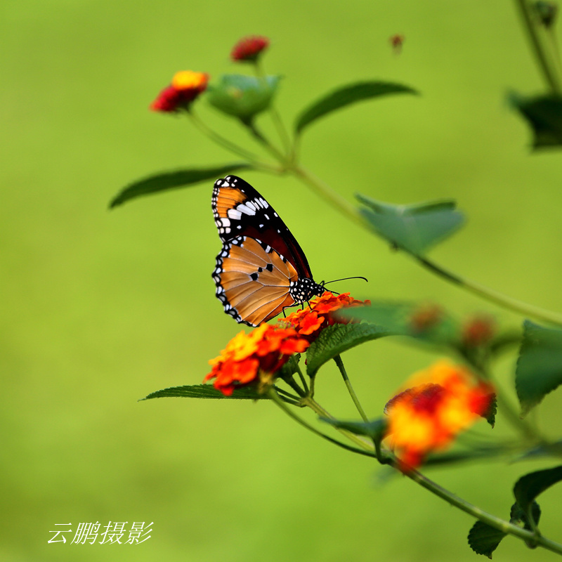 杨凌采风21_副本.jpg