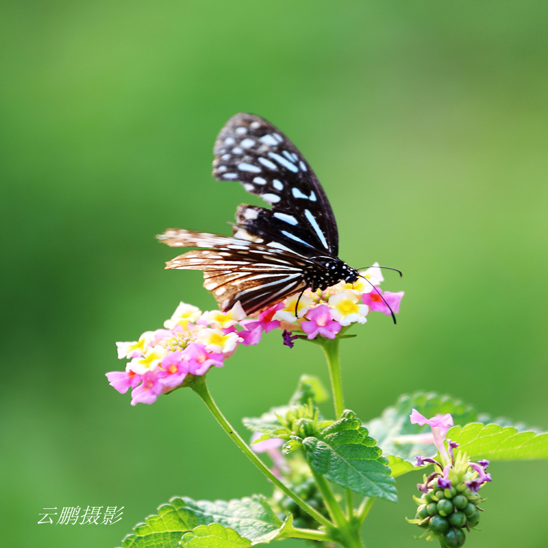 杨凌采风23_副本.jpg