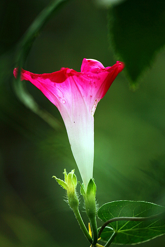 IMG_7796_副本.jpg