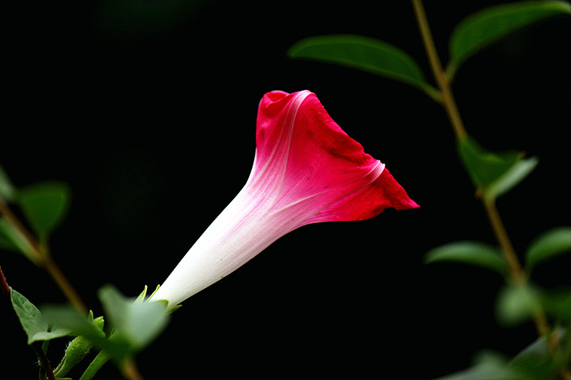 IMG_7822_副本.jpg