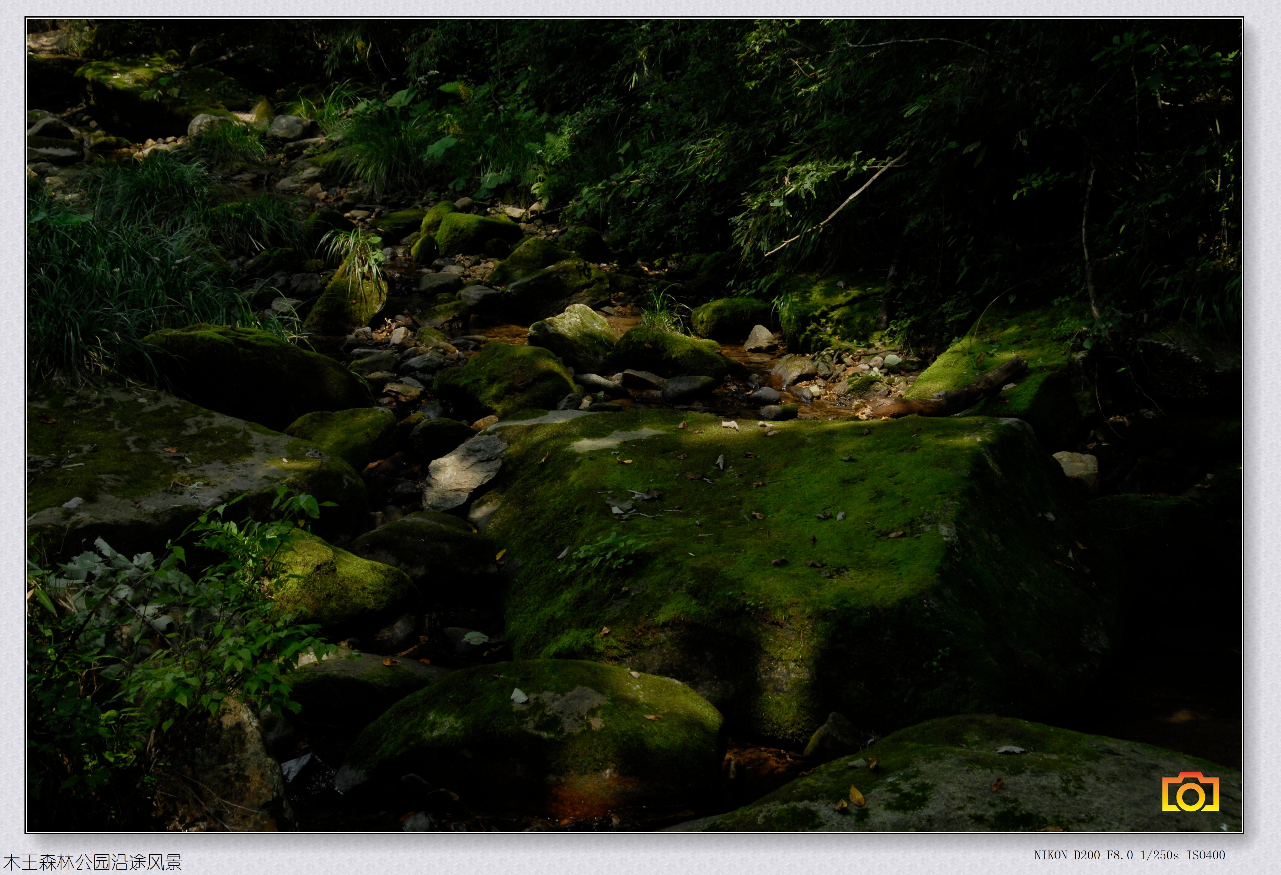 木王风景008.jpg