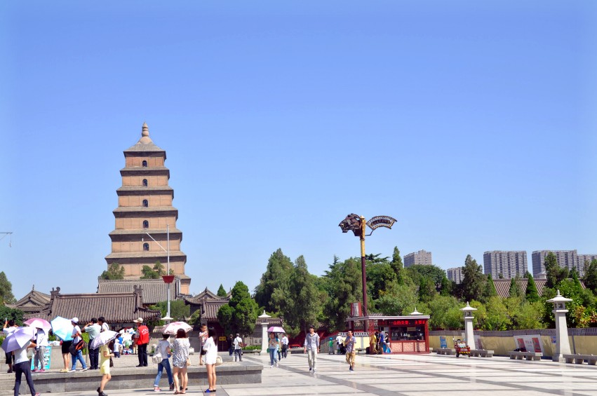 DSC_0906_conew1.jpg