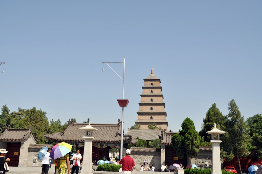 DSC_0910_conew1.jpg