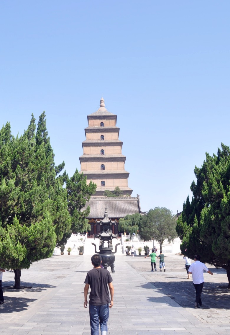 DSC_0912_conew1.jpg