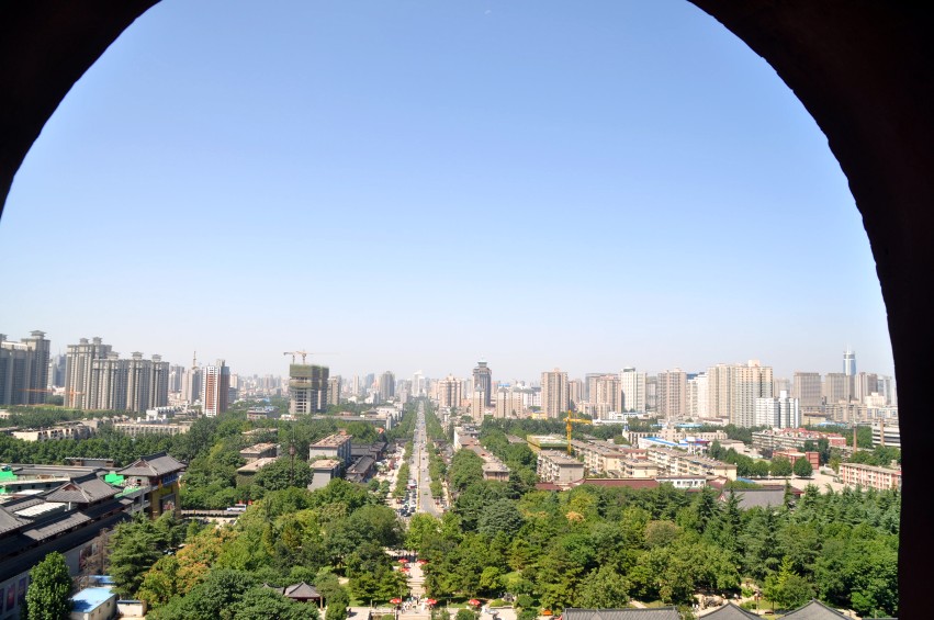 DSC_0941_conew1.jpg