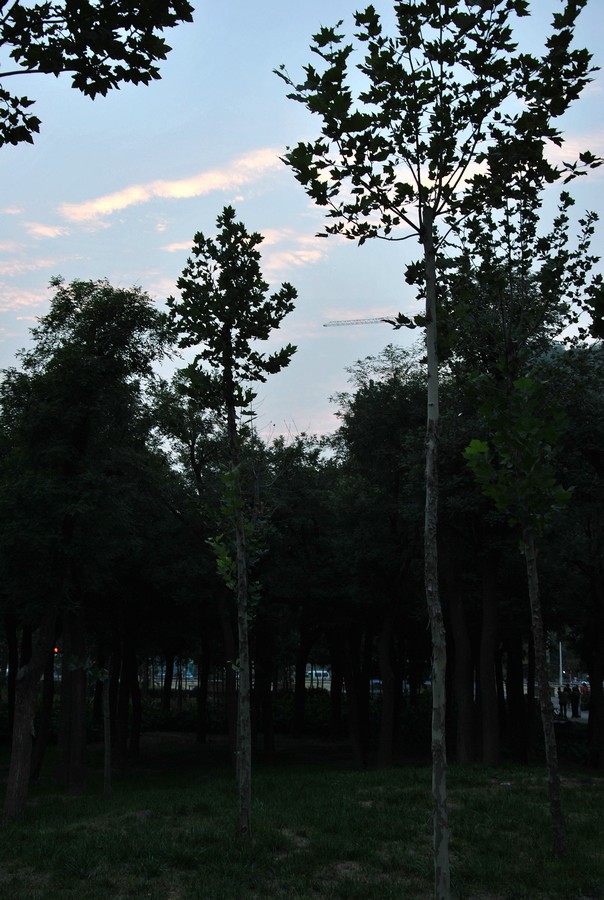 DSC_3133.jpg