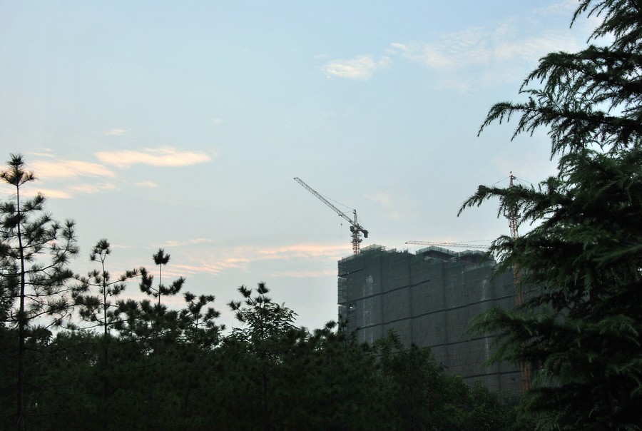 DSC_3120.jpg