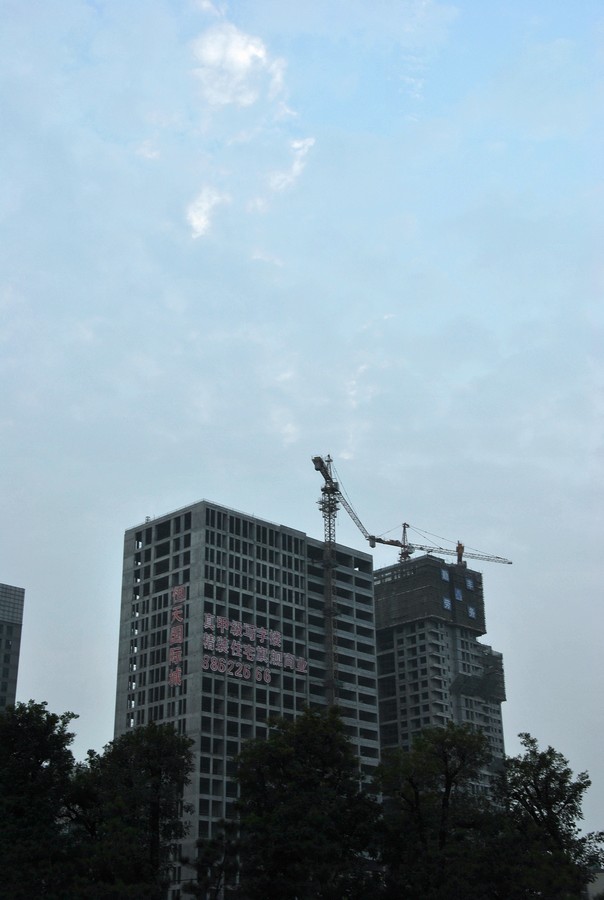 DSC_3116.jpg