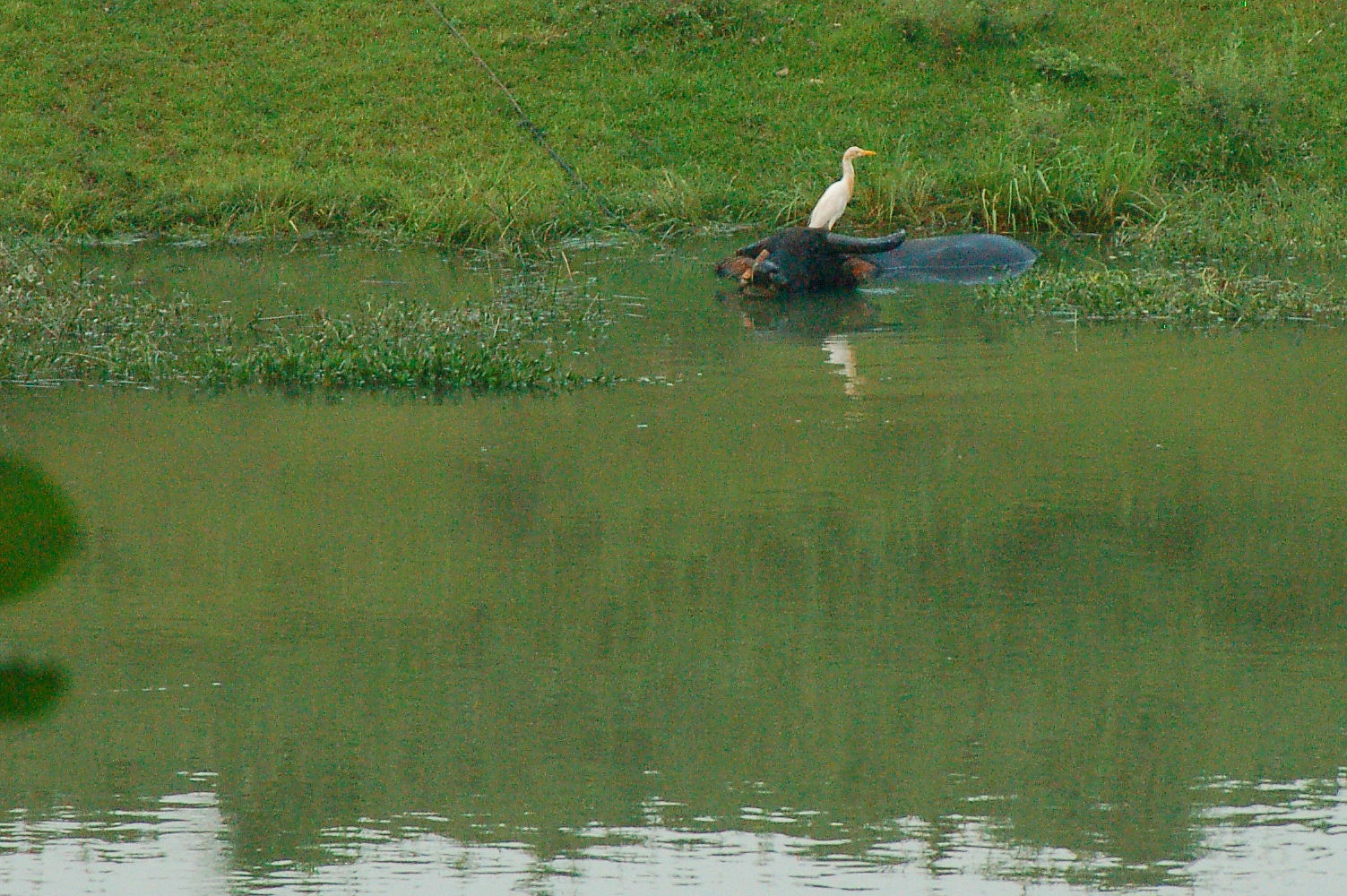 DSC_9052.JPG