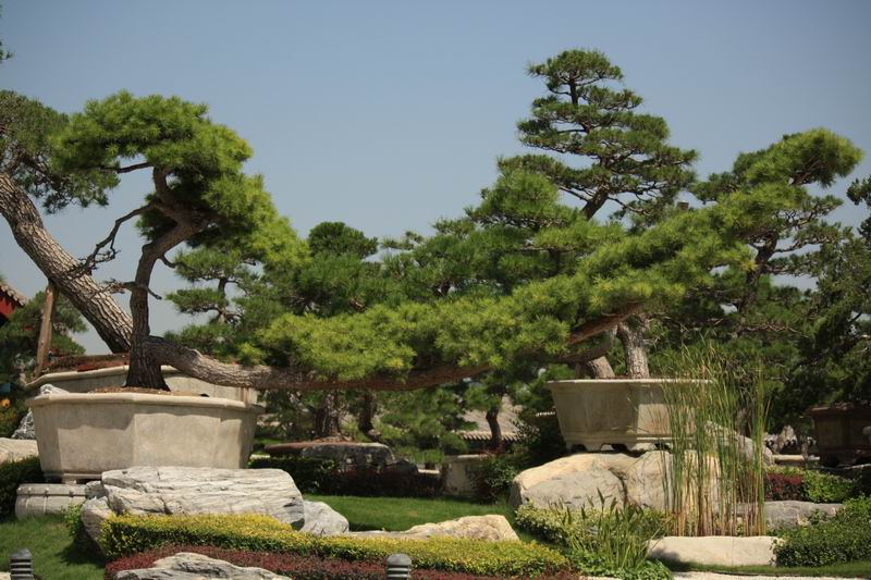 照片2013 291.jpg