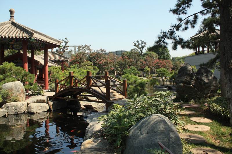 照片2013 303.jpg