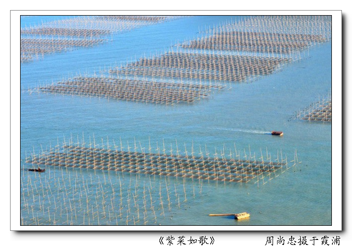 QQ截图20130913091659.jpg